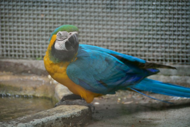 20150326 - Rome - 245